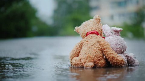 Faithful friends - a bunny and a bear cub sit side by side on the road, wet under the pouring rain. Look forward, embrace. Rear view