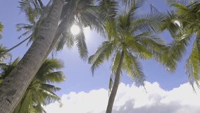 SLOW MOTION video of young man relaxing on hammock by the beach on tropical Island in the Philippines. People travel vacations relaxation concept.