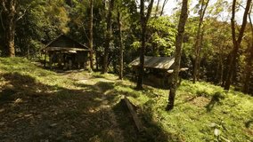 Improvised. wooden houses with corrugated steel roofs for laborers. standing amongst the rubber treas on a hevea plantation in Thailand. Ultra HD 4k video