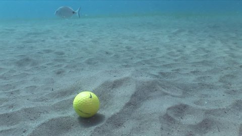 golf ball underwater  rolling on the sand with fish around on sandy bottom