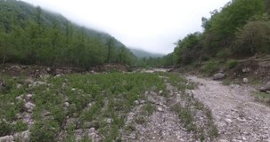 dolly shot of flash flood river bed in hazy cloudy day with green dense trees on both river sides raw footage no color correction