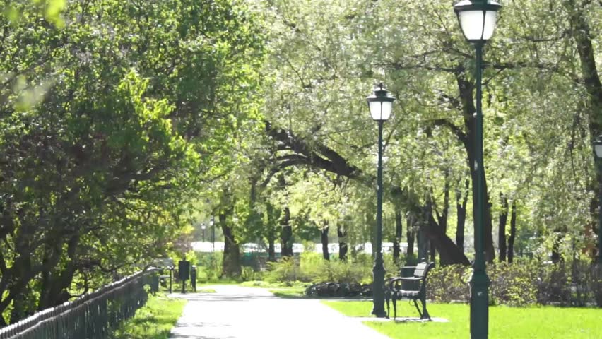 Spring May path in the park with benches and streetlights in afternoon counterlighting 