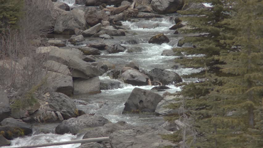 Footage of a stream in central Oregon. Shot on a Blackmagic Ursa Mini Pro 4.6k with a Canon FD 70-210mm f4.