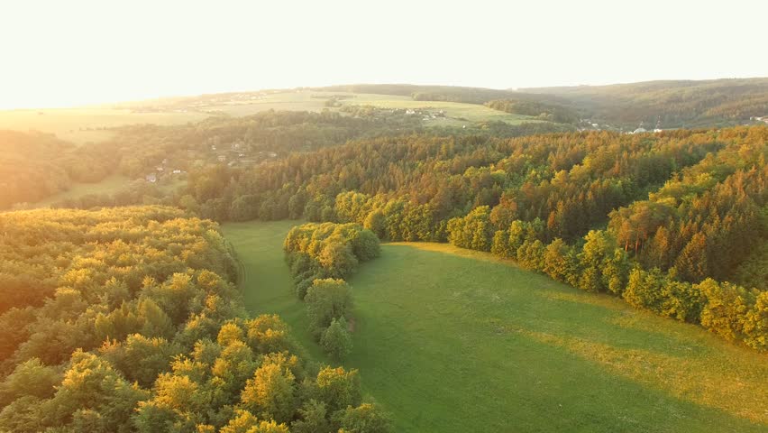 Forest and grassy meadow at sunset. Aerial camera shot. The hills and meadows with mixed forests in sunlight. Shooting during golden hour.