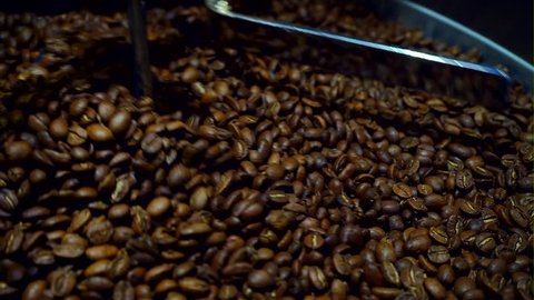 Roasting coffee beans. Making a drink for morning awakening. Fresh aromatic coffee. Barista makes coffee for clients. Favorite coffee shop near the house. Roasting machine, close-up.