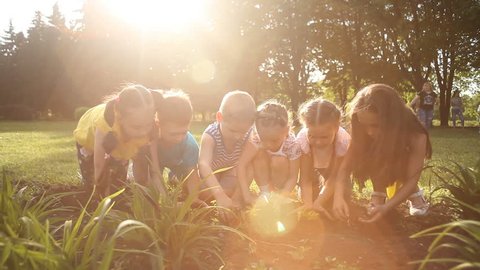 Children's hands planting sapling on soil as the world's concept of rescue
