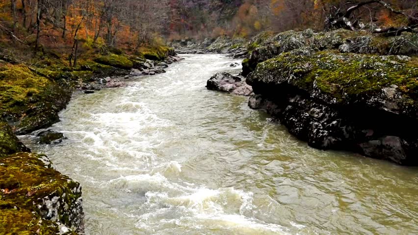 Autumn landscape with mountain river
