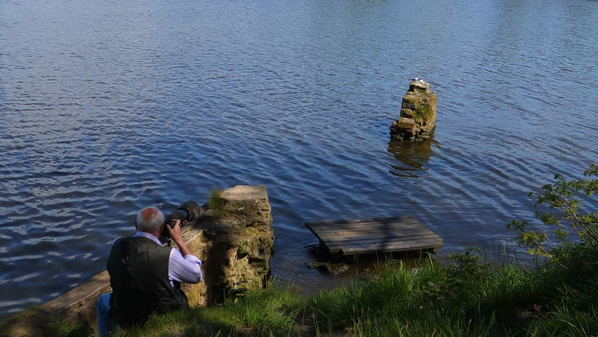 Senior wildlife photographer is taking pictures of water birds on the piece of old masonry in the lake with professional camera and camouflaged telephoto lens