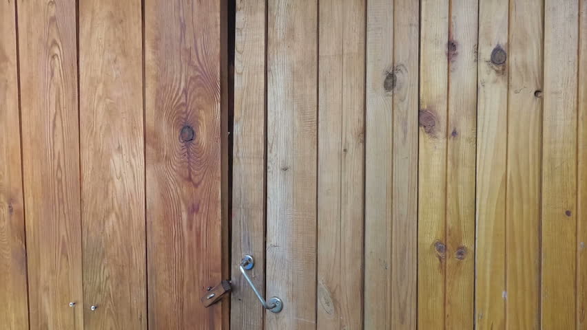 woman paints a wooden fence.