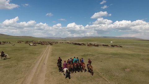 Aerial drone shot, flying up from a group of nomads horsemen, to discovering wild horses in endless steppes landscape. Location Mongolia, sunny day