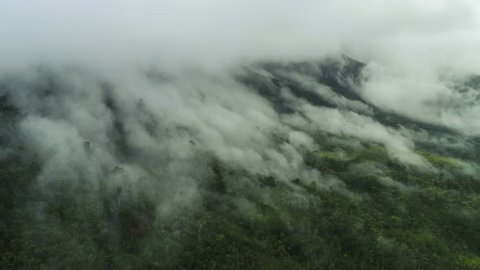 Mist and clouds above jungle in Central America