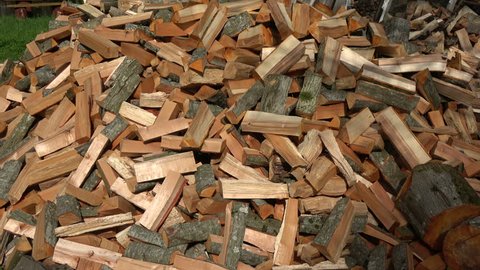 Prepare fresh shopped firewood in stack in farm
