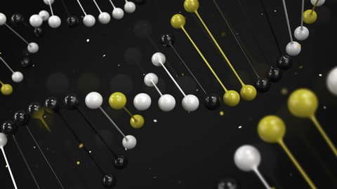 Стоковое видео: Gloss model of black, white and yellow DNA strand on black background. Spiral DNA helix. 3D rendering illustration