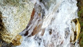 Vertical video. The water after the waterfall in the valley of the Issyk-Ata, Kyrgyzstan