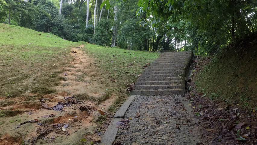 Path selection. Left or right? Left is difficult way on the muddy land, Right is easier way on stair. | Shutterstock HD Video #1011206666