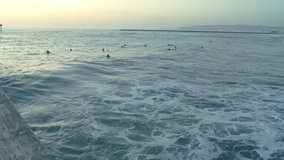 Surfers await a big wave in the ocean drifting on the waves. Toned sunset video resolution 4k. Ocean Beach Pier, California.