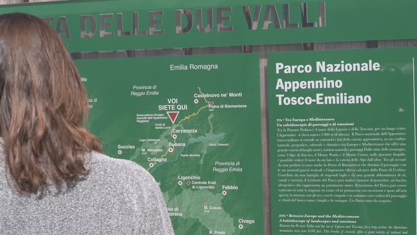 Beautiful woman in the national park
