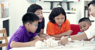 Asian teacher expanding to student in anatomy class with skeleton dummy .