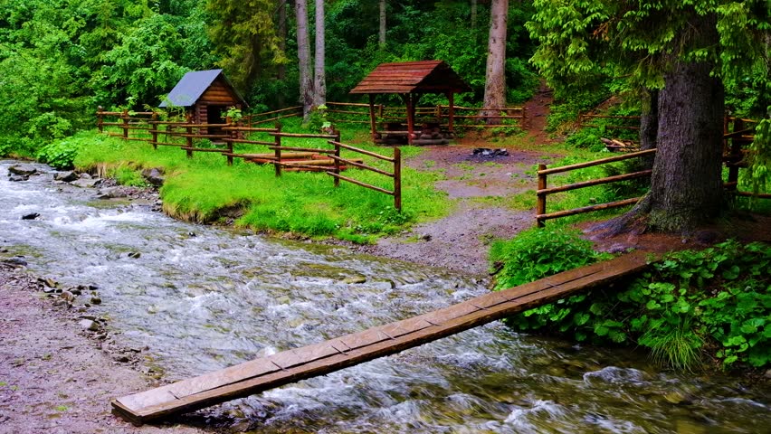 Forest stream running over mossy rocks. Small river in the forest picnic area