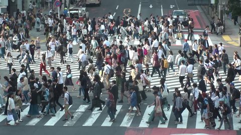 SHIBUYA,  TOKYO,  JAPAN - CIRCA MAY 2018 : Scenery of SHIBUYA around big scramble crossing in summer. Slow motion footage.