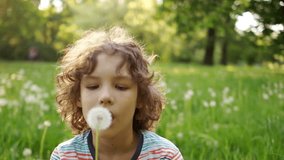 A cute schoolboy with curly hair is blowing a dandelion against the backdrop of a summer green glade. Dynamic video. Children Day