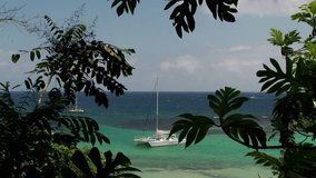 Shot of catamaran in turquoise water of Caribbean Sea through leaves, Jamaica