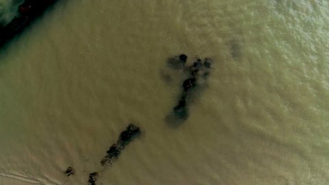 Birds eye view drone shot of water stream leading to the sea, drone is moving backwards