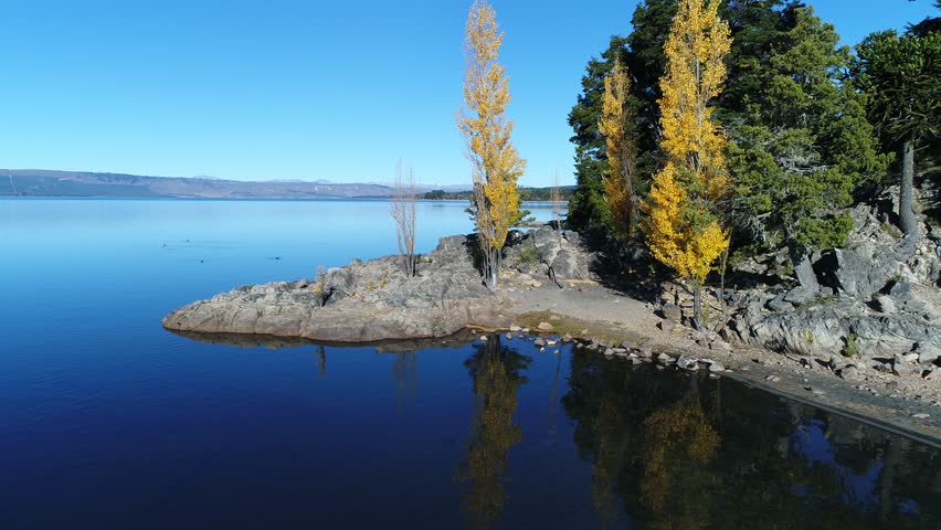 Aerial drone scene Alumine lake rocky coast. Camera ascends from rocky coast with yellow poplars to high point of view of bays. Mapuche area, turistic zone of five lagoons in villa pehuenia. Neuquen, 