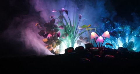 Three fantasy glowing mushrooms in mystery dark forest close-up. Beautiful macro shot of magic mushroom or three souls lost in avatar forest. Fairy lights on background with fog. Slider shot.