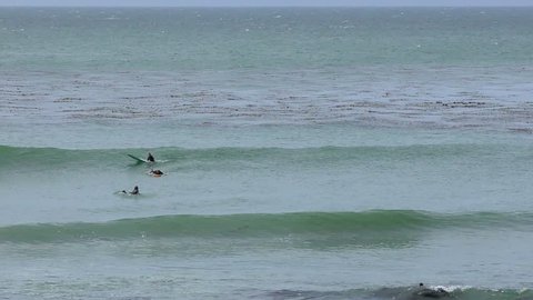 Unidentified surfers at Santa Cruz, Pleasure Point, on the northern Monterey Bay in Santa Cruz County, California, USA, a world renowned surf location