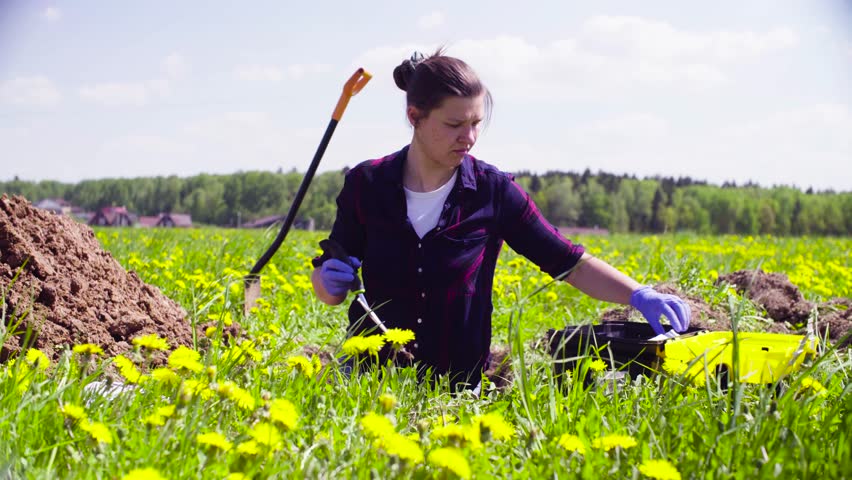 Scientist ecologist on the meadow taking samples of the soil and putting them in the envelope.