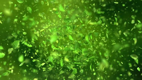 Exploding green leafs in 4K