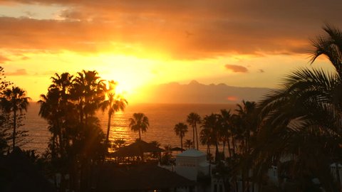 Elevated Shot of a Beautiful Sunset on Exotic Island and Sea Visible, with Silhouettes of Palm Trees and Buildings Showing. Shot on RED Epic 4K UHD Camera.