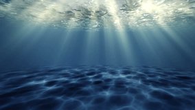 Ocean bottom, view beneath surface