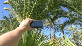 Professional video series of POV taking a selfie photo in palm forest in 4K in Slow motion 60fps
