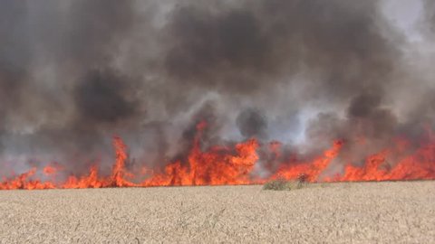 A field of wheat was hit by a fire kite launched in Gaza during demonstrations in commemoration of Nakba Day. The fire burned wheat fields and forests in Israel.