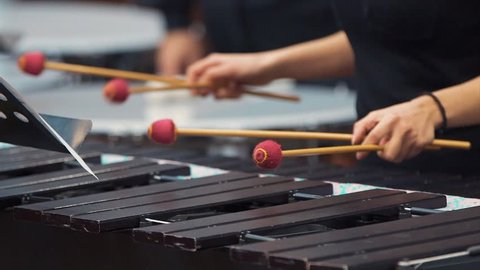 Close-up shot of musician playing xylophone. female artist performing in music concert. 