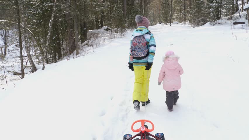 Rear view of woman and child wearing warm clothes walks in winter forest and pull the sledge