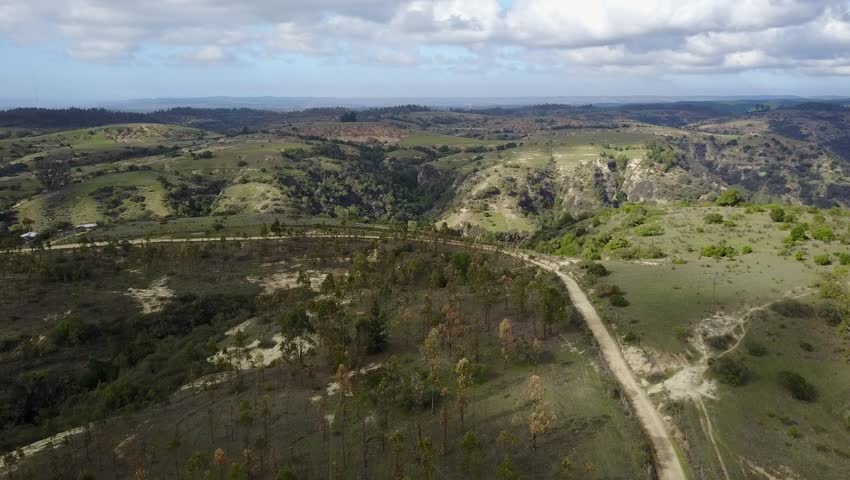 bosque, naturaleza, aire libre