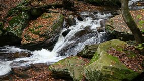 Whitewater flows down the rocky Glen Leigh of Ricketts Glen, a state park in Pennsylvania that is full of beautiful waterfalls.