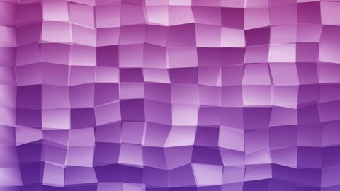 Loopable Abstract Blue Pink Fuxia Low Poly 3D surface as CG background. Volume Polygonal Geometric Low Poly motion background of Blue Pink Fuxia polygons. 4K Fullhd seamless loop render V26