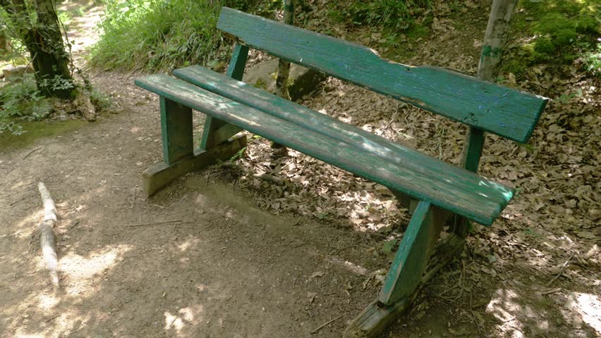 bench in the park. Steadicam Shot mountain wet Forest with mossy stones and tree roots, personal perspective of view, 4k, slow motion