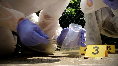 Forensic experts team  collect evidence at the crime scene. Forensic science