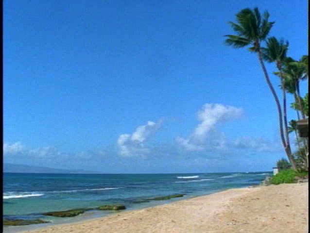 HAWAII, 1999, Pacific Ocean, deserted beach, coconut palms, wide shot, on Maui in Hawaii