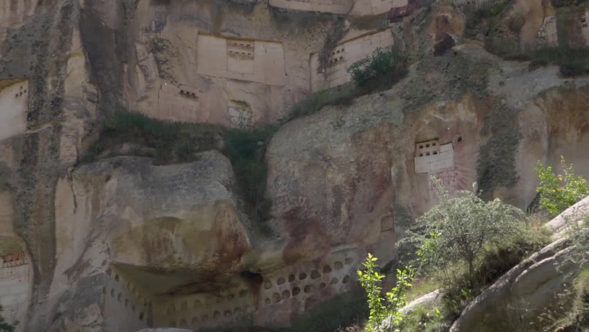 HD fooage. Doves houses in rocks. Close up. Handheld camera