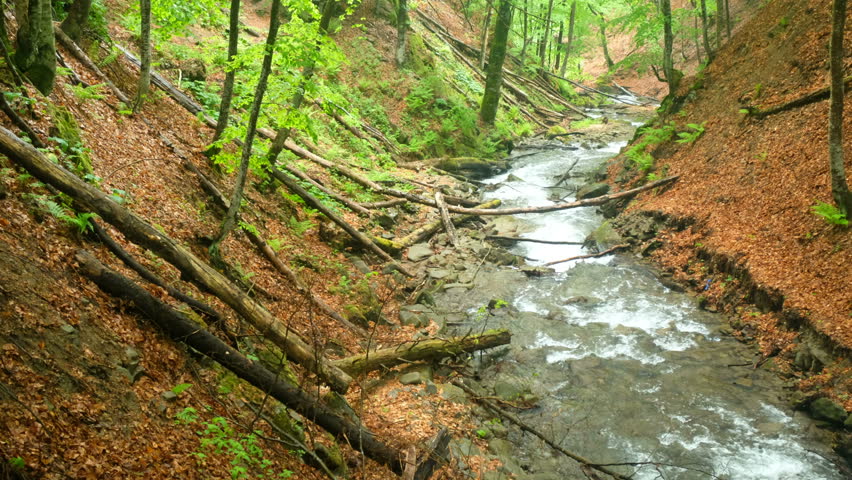 Smoky Mountain Stream. Smoky Mountain stream rushes through the lush forest of the Great Smoky Mountains National Park along the Little River Road