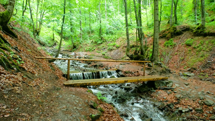 Mountain River and Woody Bridge
