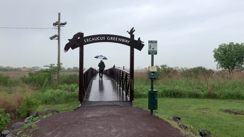 Adult man walking on trail with umbrella during the rain at the Mill Creek boardwalk in the Meadowland