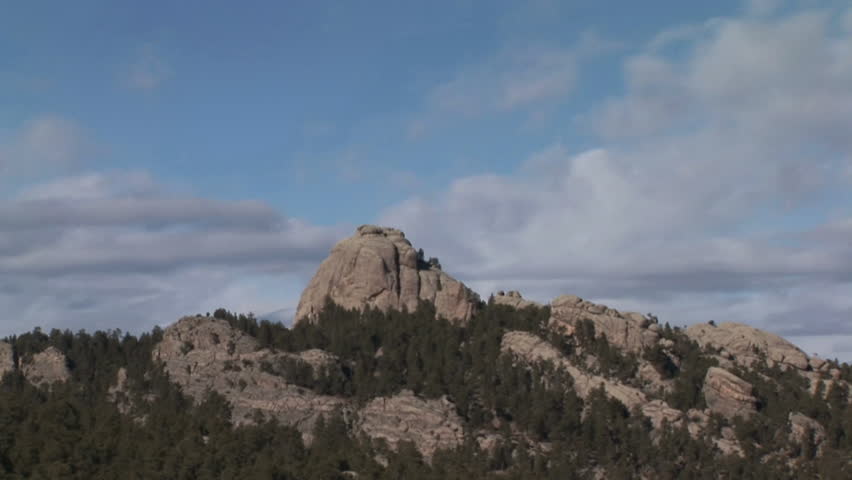 Forest Trees Black Hills in Spring Granite in South Dakota