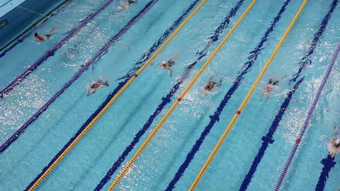 Seven breaststroke swimmers move by pool tracks during championship. Slow motion